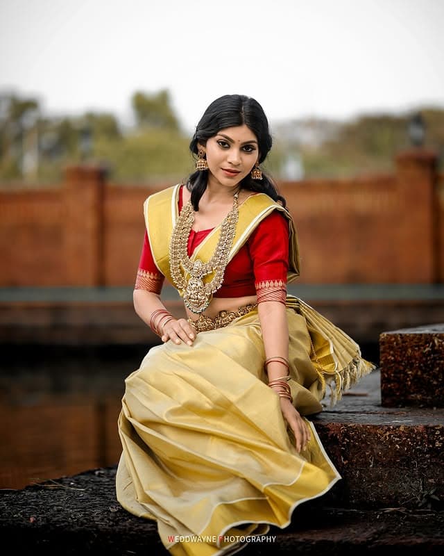The Artist - Niveditha